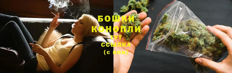 Бошки Шишки SATIVA & INDICA  купить наркоту  Алагир 